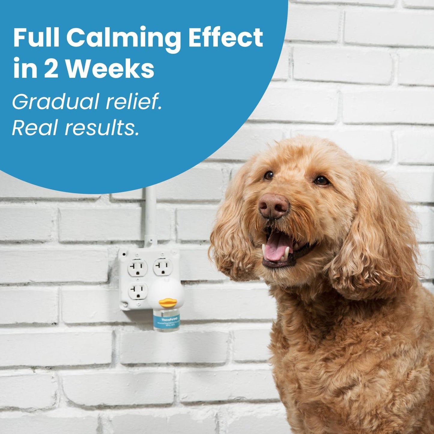 Dogs Calming Diffuser Kit
